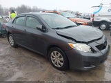 Toyota Corolla Le JTDBU4EE5A9100469 снимка