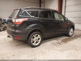 Miniaturka zdjęcia 4