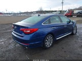 Hyundai Sonata Sport 5NPE34AF8FH116601 photo