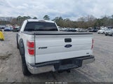 Ford F-150 Xlt 1FTFW1EF3BFC14511 снимка