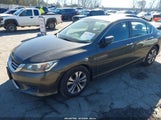 Honda Accord Lx 1HGCR2F37DA099966 снимка