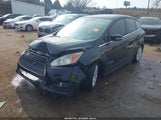 Ford C-Max Hybrid Sel 1FADP5BU7DL501522 снимка