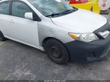 Toyota Corolla Le 2T1BU4EE4BC675304 fotografie