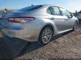 Toyota Camry Xle 4T1B11HK2JU049773 photo