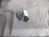 Miniaturka zdjęcia 11