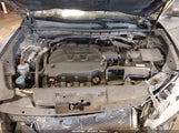Honda Accord Crosstour Ex-L 5J6TF2H51AL001465 fotografie
