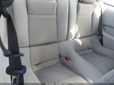 Miniaturka zdjęcia 8