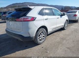 Ford Edge Sel 2FMPK4J98MBA23443 fotografie