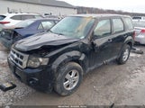 Ford Escape Xls 1FMCU9C75AKD33861 снимка