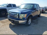 Ford F-150 Fx2 Sport/Xl/Xlt 1FTEW1C81AFB55957 photo