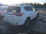 Toyota Rav4 Xle JTMRFREV4HJ157941 снимка