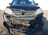 Honda Cr-V Se 5J6RE4H47BL067102 снимка