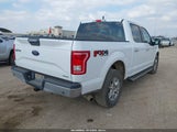 Ford F-150 Xlt 1FTEW1EF6GKD28304 снимка