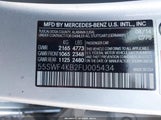 Miniaturka zdjęcia 9