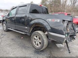 Ford F-150 Xlt 1FTEW1EG2FFD06316 снимка