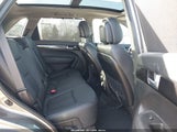 Miniaturka zdjęcia 8