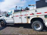 Ford F-550 Chassis Xl 1FDUF5HT2BEC72045 снимка