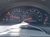 Miniaturka zdjęcia 7