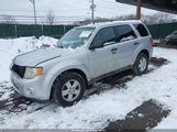 Ford Escape Xlt 1FMCU0D75BKC01887 fotografie