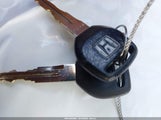 Miniaturka zdjęcia 11