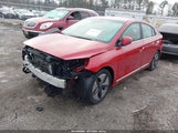 Hyundai Ioniq Hybrid Sel KMHC85LC8NU266497 photo