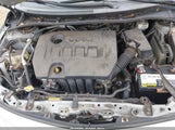 Toyota Corolla S/Le 2T1BU4EE7CC849500 fotografie