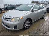 Toyota Corolla S/Le 2T1BU4EE7CC849500 fotografie