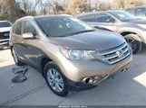 Miniaturka zdjęcia 1