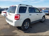 Ford Escape Xlt 1FMCU03GX9KA37659 снимка
