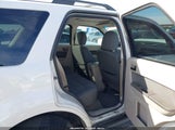 Ford Escape Xlt 1FMCU03GX9KA37659 снимка