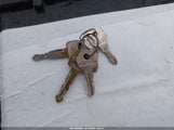 Miniaturka zdjęcia 11