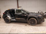 Subaru Crosstrek Wilderness 4S4GUHT65R3748316 fotografie