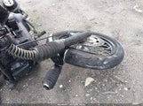Harley-Davidson Fxdb Dyna Street Bob 1HD1GXM32GC315483 photo