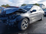 Honda Accord Lx 1HGCR2F30GA222009 снимка