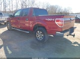 Ford F-150 Xlt 1FTFW1EF9DFB08177 снимка