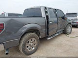 Ford F-150 Fx2 Sport/Xl/Xlt 1FTEW1C81AFD65507 снимка
