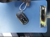 Miniaturka zdjęcia 11