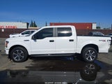 Ford F-150 Xl 1FTEW1CP9LKD45166 photo