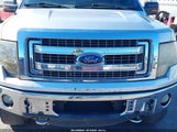 Ford F-150 Xlt 1FTFW1EF2DFC38494 снимка