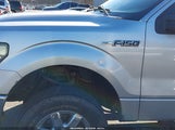 Ford F-150 Xlt 1FTFW1EF2DFC38494 снимка