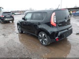 Miniaturka zdjęcia 3