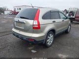 Honda Cr-V Ex JHLRE48537C072693 снимка