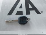 Miniaturka zdjęcia 11