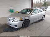 Miniaturka zdjęcia 2