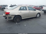 Toyota Corolla Le 1NXBU40E79Z144968 снимка