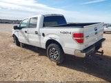 Ford F-150 Xlt 1FTFW1EF8DKD79139 снимка
