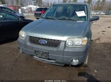 Ford Escape Xlt 1FMYU03Z06KA06780 снимка