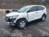 Honda Cr-V Lx 5J6RM3H32EL008757 снимка