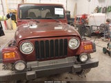 Jeep Wrangler Sport 1J4FA49S71P371842 снимка