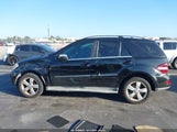 Mercedes-Benz Ml 350 4JGBB5GB6AA600357 снимка